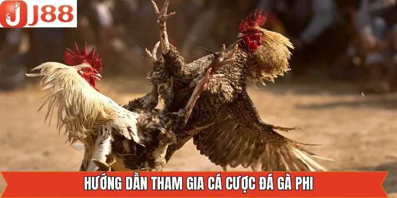 Hướng dẫn cách thức tham gia cá cược đá gà Phi đơn giản