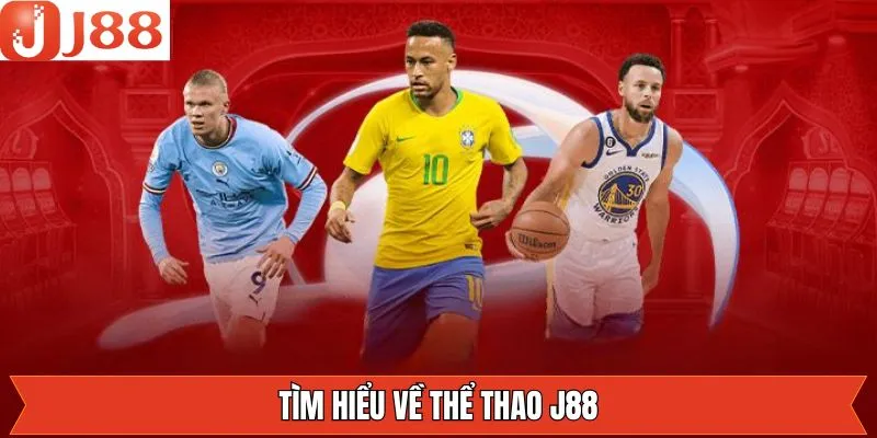 Tổng quan về sân chơi cá cược các bộ môn thể thao 